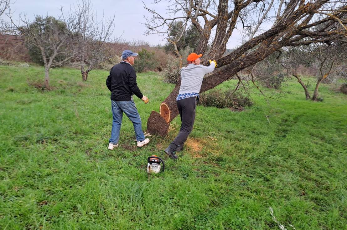 Bacili smo mendulu&nbsp;😎