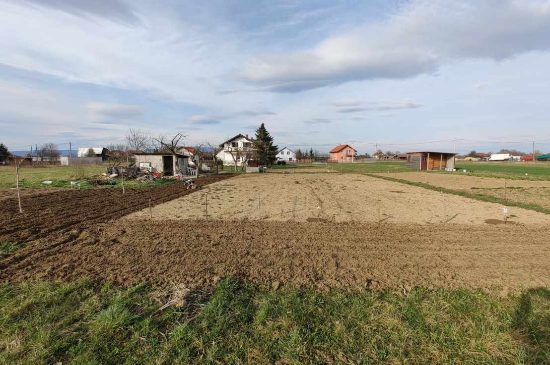 Nedilja je dan za vrt 😎💪