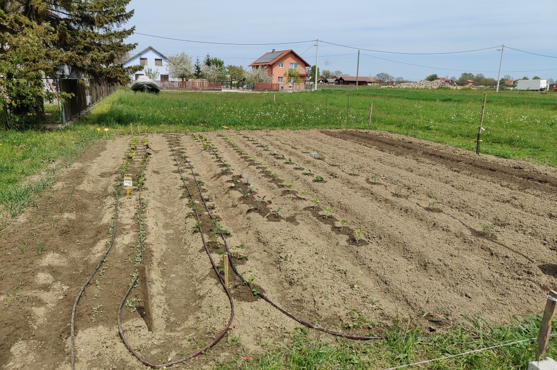 Vrt posađen – 2023 edition 😎