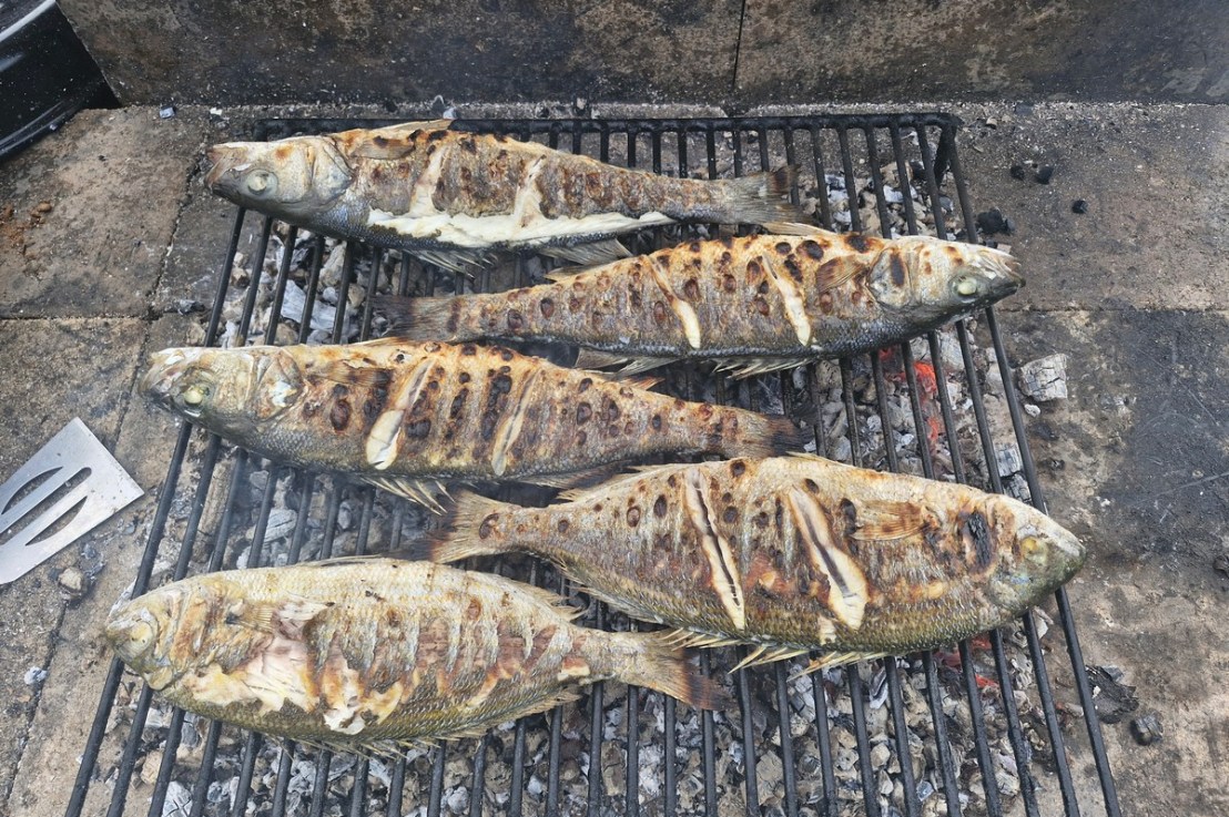 Malo ribice za ručak