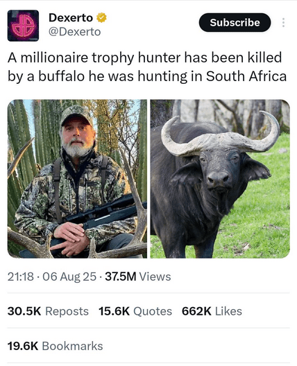 Go buffalo 💪❤️